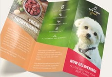 Brochures 